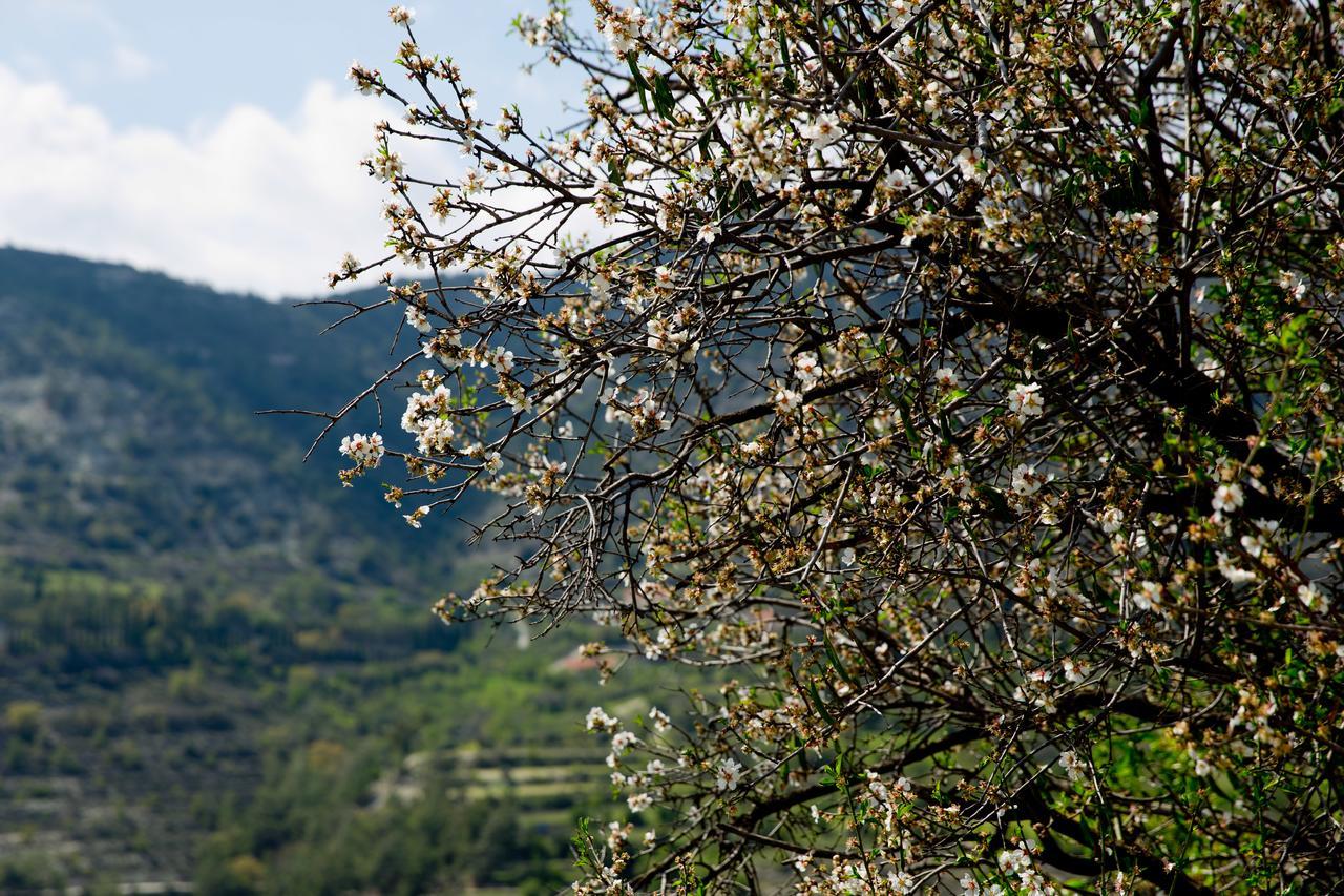 The Old Olive Mill House By Trulycyprus Vila Dhoros Exterior foto