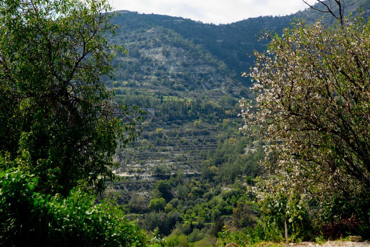 The Old Olive Mill House By Trulycyprus Vila Dhoros Exterior foto